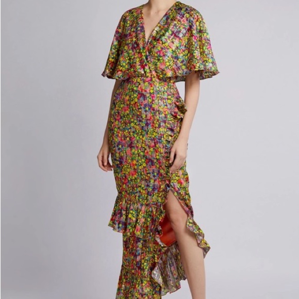 NWT SALONI Floral Ruffled Maxi Dress